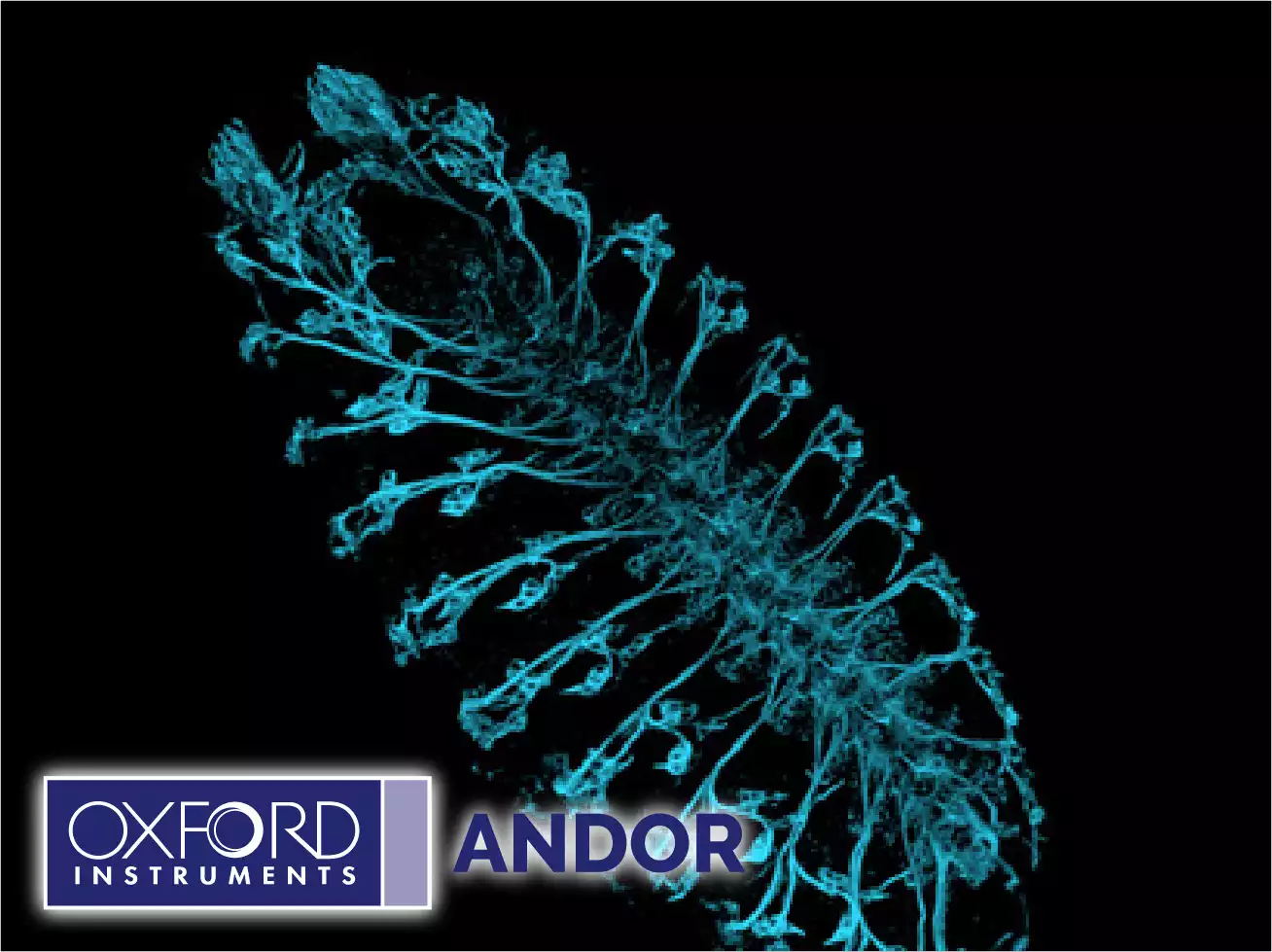 Andor Benchtop Confocal